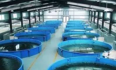 既要養好魚，又要護生態 一文秒懂《工廠化水產養殖系統》安裝指南