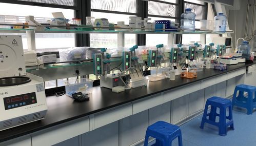 早篩新星天浚元生生物獲國(guó)高生物戰(zhàn)投，開啟健康與環(huán)保跨界創(chuàng)新